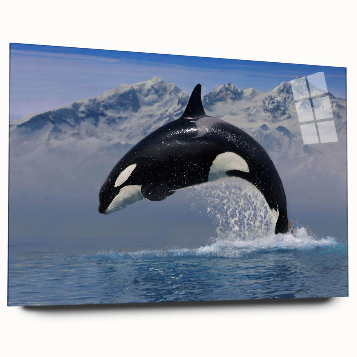 Orca wall art design displayed in a sleek acrylic glass frame, showcasing vibrant marine life colors and intricate details, perfect for ocean-themed decor.