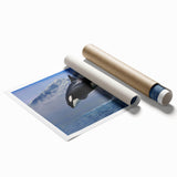 Orca wall art design showcasing a vibrant marine life scene with bold colors, rolled up for easy shipping, perfect for ocean-themed decor enthusiasts.