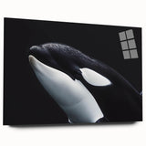 Orca marine life wall art design displayed in acrylic glass, showcasing vibrant colors and intricate details, perfect for ocean-themed decor in modern spaces.
