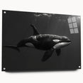 Acrylic wall art featuring a vibrant orca design, showcased from a side view with decorative pins, perfect for marine life enthusiasts and modern decor.