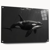 Acrylic wall art featuring a vibrant orca design, showcased from a side view with decorative pins, perfect for marine life enthusiasts and modern decor.