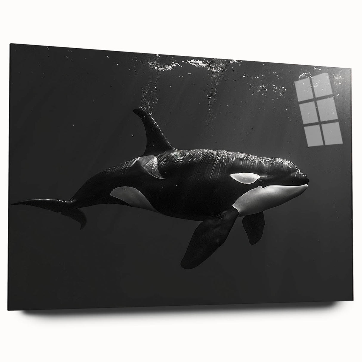 Colorful acrylic wall art featuring a stunning orca design, showcased in a side view, perfect for marine life enthusiasts. Ideal for home decor and ocean-themed spaces.