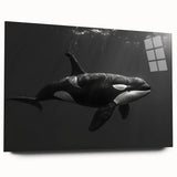 Colorful acrylic wall art featuring a stunning orca design, showcased in a side view, perfect for marine life enthusiasts. Ideal for home decor and ocean-themed spaces.