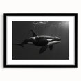 Orca design wall art in a black frame, showcasing vibrant marine life illustration with a mat. Ideal for ocean-themed decor, enhancing coastal aesthetics.