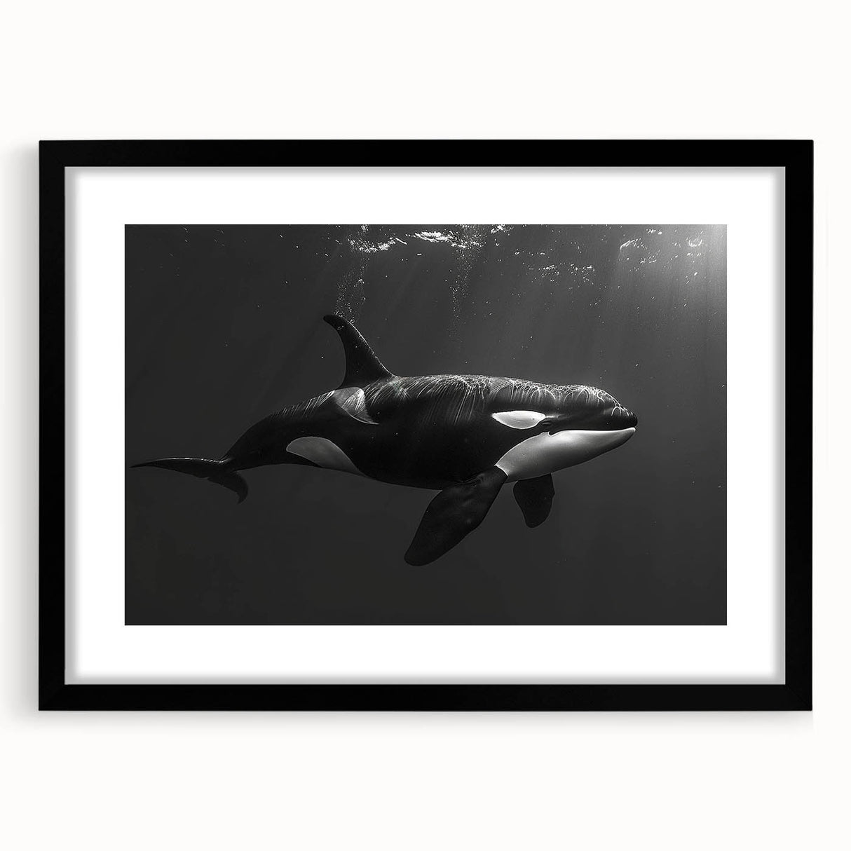 Orca design wall art in a black frame, showcasing vibrant marine life illustration with a mat. Ideal for ocean-themed decor, enhancing coastal aesthetics.