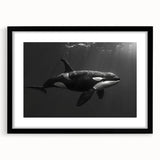 Orca design wall art in a black frame, showcasing vibrant marine life illustration with a mat. Ideal for ocean-themed decor, enhancing coastal aesthetics.