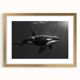 Elegant wall art featuring a gold-framed orca design, showcasing vibrant marine life in a striking composition, perfect for ocean-themed decor. The artwork includes a mat for an enhanced presentation, ideal for adding a touch of nature-inspired elegance to any room.