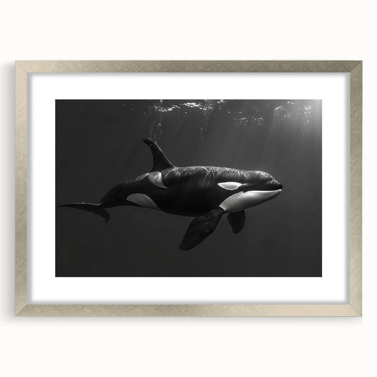Framed wall art featuring a striking orca design in a silver frame with a mat, showcasing vibrant marine life, perfect for ocean-themed decor.