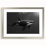 Framed wall art featuring a striking orca design in a silver frame with a mat, showcasing vibrant marine life, perfect for ocean-themed decor.
