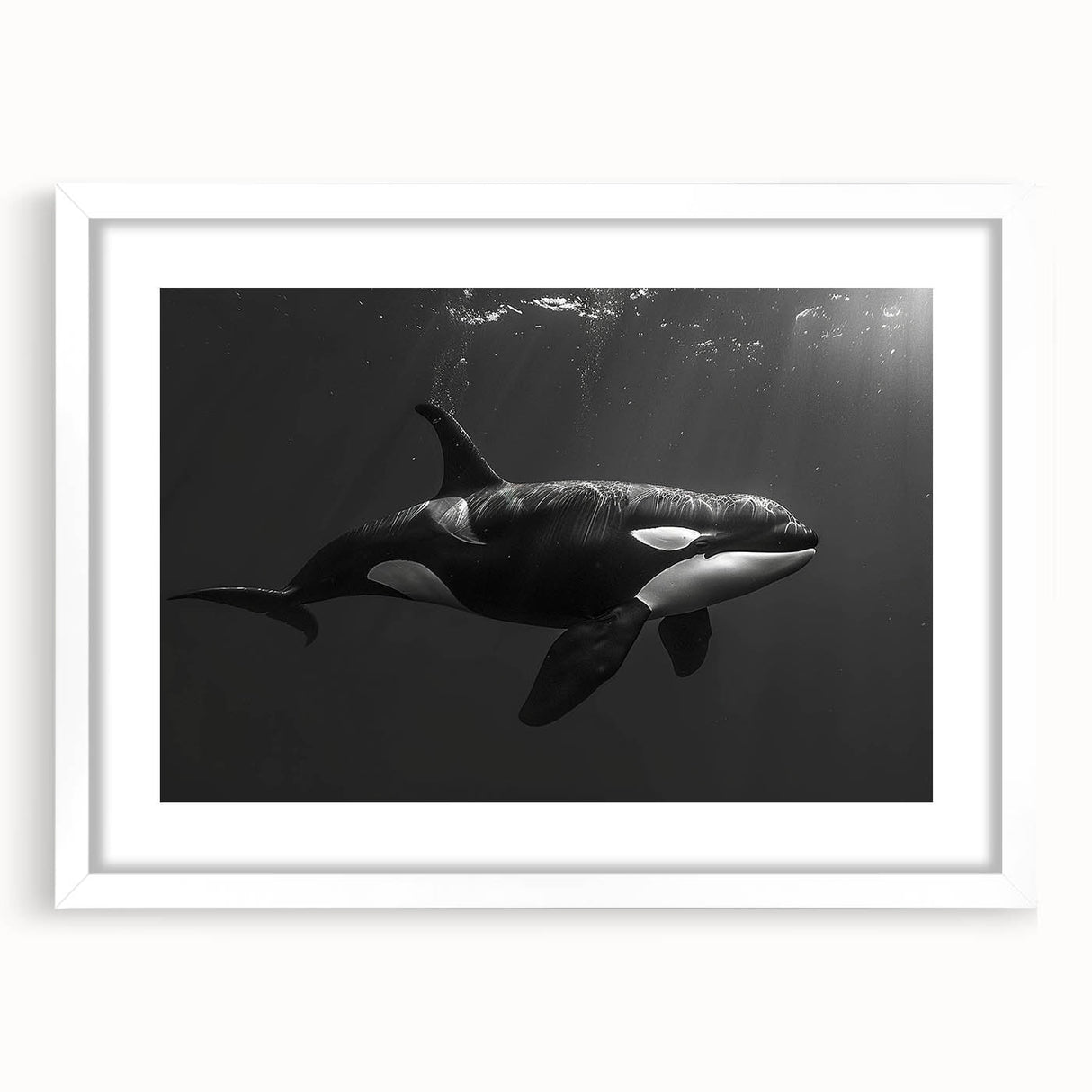 Orca-themed wall art collection featuring a sleek white frame with mat, showcasing vibrant marine life design perfect for ocean lovers. Ideal for home decor.