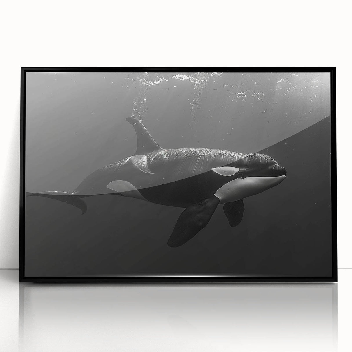 Framed wall art featuring a striking orca design, showcasing vibrant marine life colors and intricate details, set in a sleek black frame, ideal for ocean-themed decor.