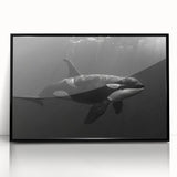 Framed wall art featuring a striking orca design, showcasing vibrant marine life colors and intricate details, set in a sleek black frame, ideal for ocean-themed decor.