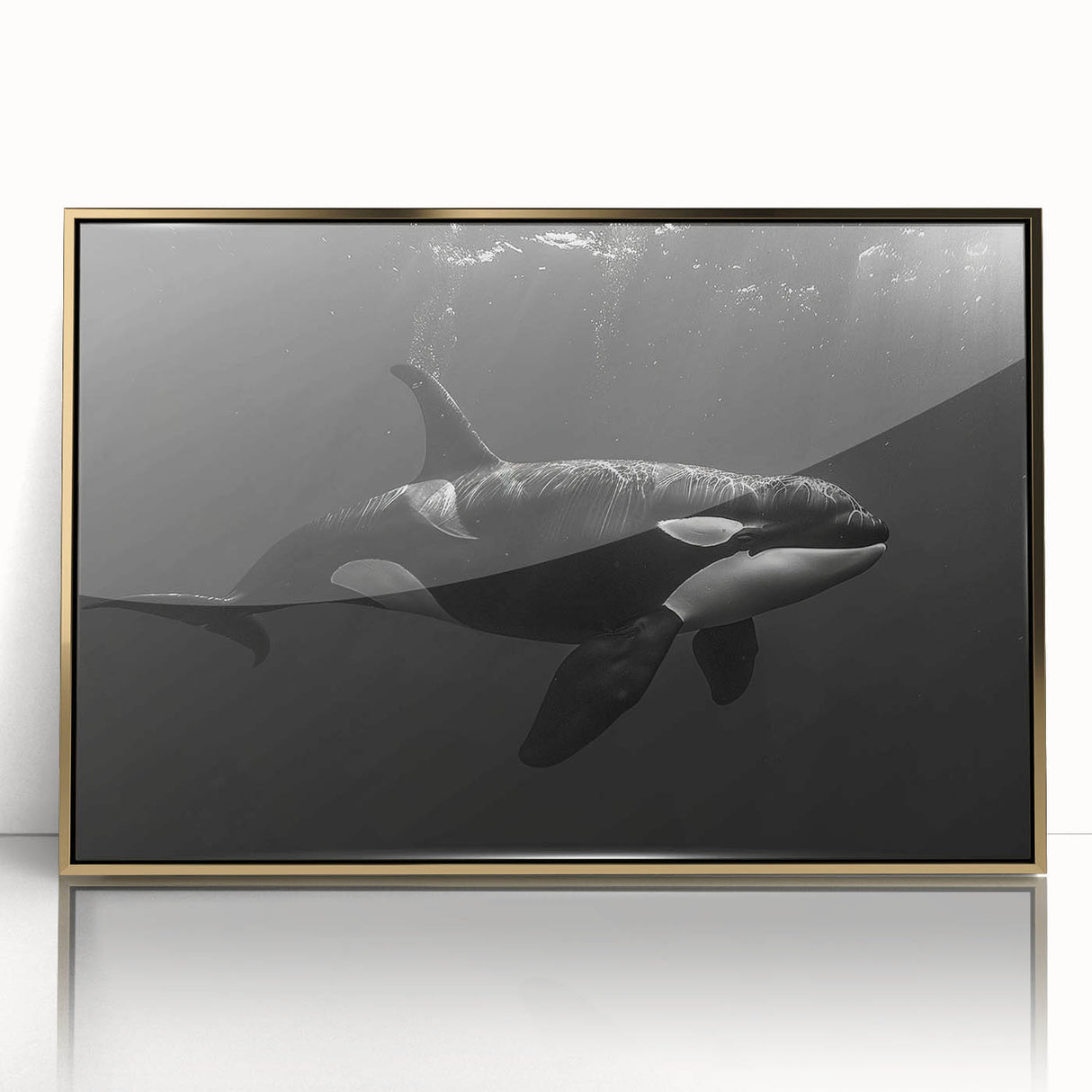 Framed wall art featuring an orca whale design, with a gold-accented acrylic front, showcasing vibrant marine life colors, perfect for ocean-themed decor.