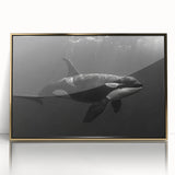 Framed wall art featuring an orca whale design, with a gold-accented acrylic front, showcasing vibrant marine life colors, perfect for ocean-themed decor.