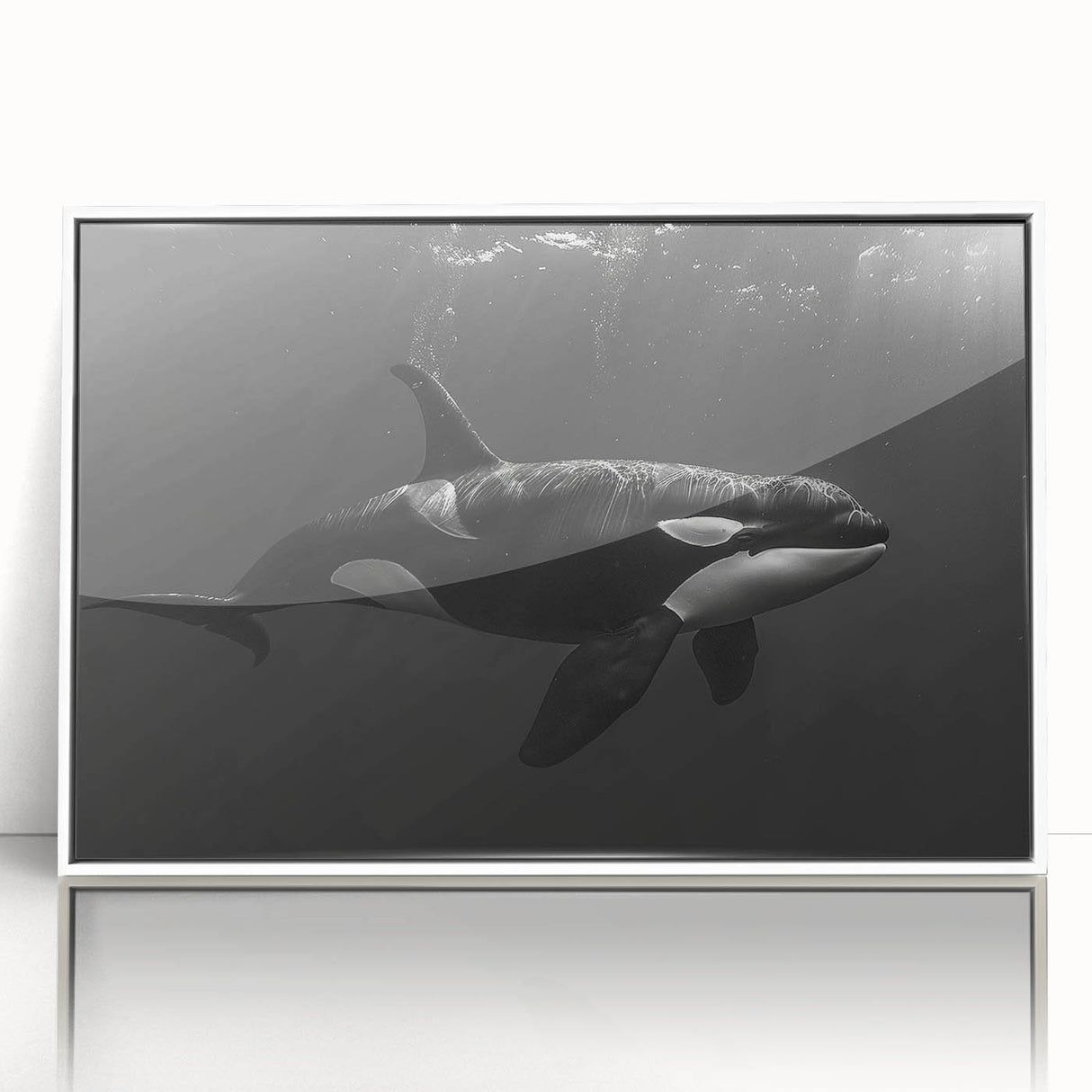 Framed wall art featuring a vibrant orca design in a marine life theme, set in a sleek white frame, perfect for ocean-inspired decor in homes or offices.