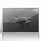 Framed wall art featuring a vibrant orca design in a marine life theme, set in a sleek white frame, perfect for ocean-inspired decor in homes or offices.