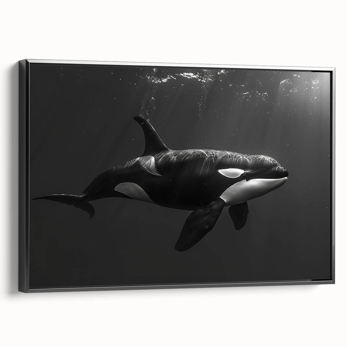 Framed canvas wall art depicting a striking orca design, showcasing vibrant marine life colors on a black background, perfect for ocean-themed decor.