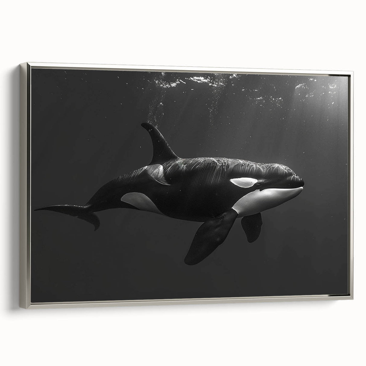 Framed wall art featuring a stunning orca design, showcasing intricate marine life details on a silver background, perfect for ocean-themed decor.