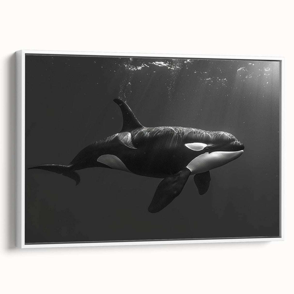 Framed canvas wall art showcasing a stunning orca design with vibrant colors, perfect for marine life enthusiasts. Features a sleek white frame, ideal for home decor.