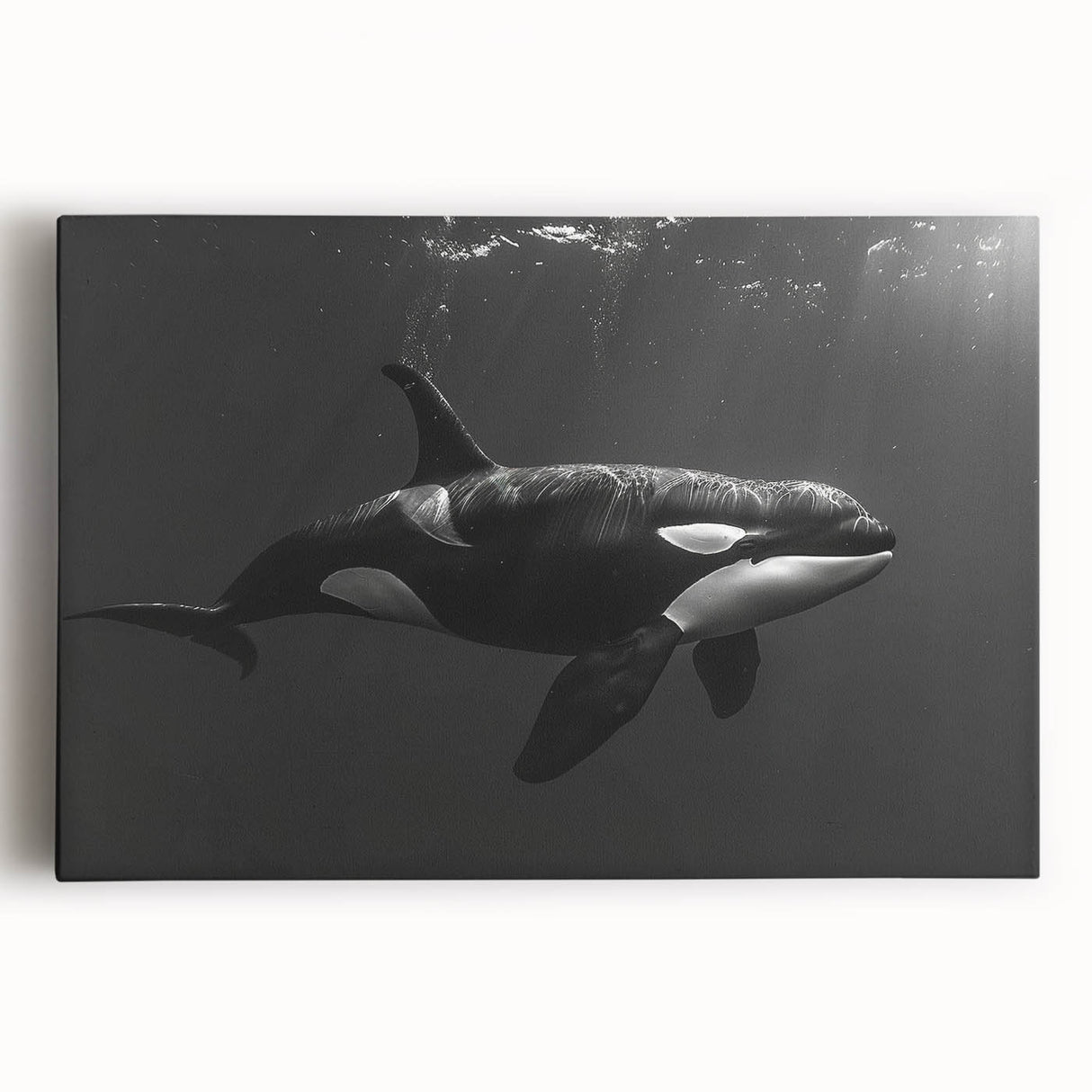 Vibrant stretched canvas wall art featuring a stunning orca design, showcasing intricate marine life details and bold colors, perfect for ocean-themed decor.