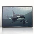 Framed wall art featuring a striking orca design, set against a black background, showcasing marine life in vibrant colors. Ideal for ocean-themed decor.