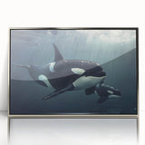 Framed acrylic wall art showcasing an orca design, featuring vibrant marine life colors and a sleek silver frame, ideal for ocean-themed décor.