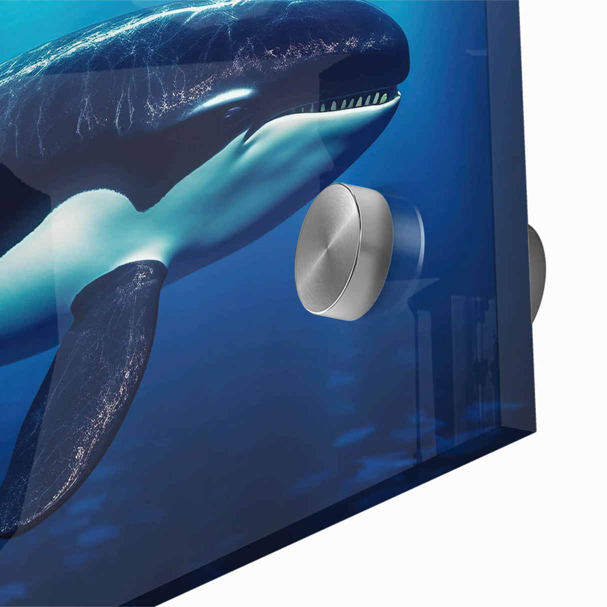 Close-up of a vibrant acrylic wall art piece featuring an orca design, showcasing intricate marine life details on a glass surface, perfect for ocean-themed decor.