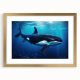 Orca wall art design framed in gold, showcasing vibrant marine life colors with a matte finish, perfect for ocean-themed decor in living spaces.