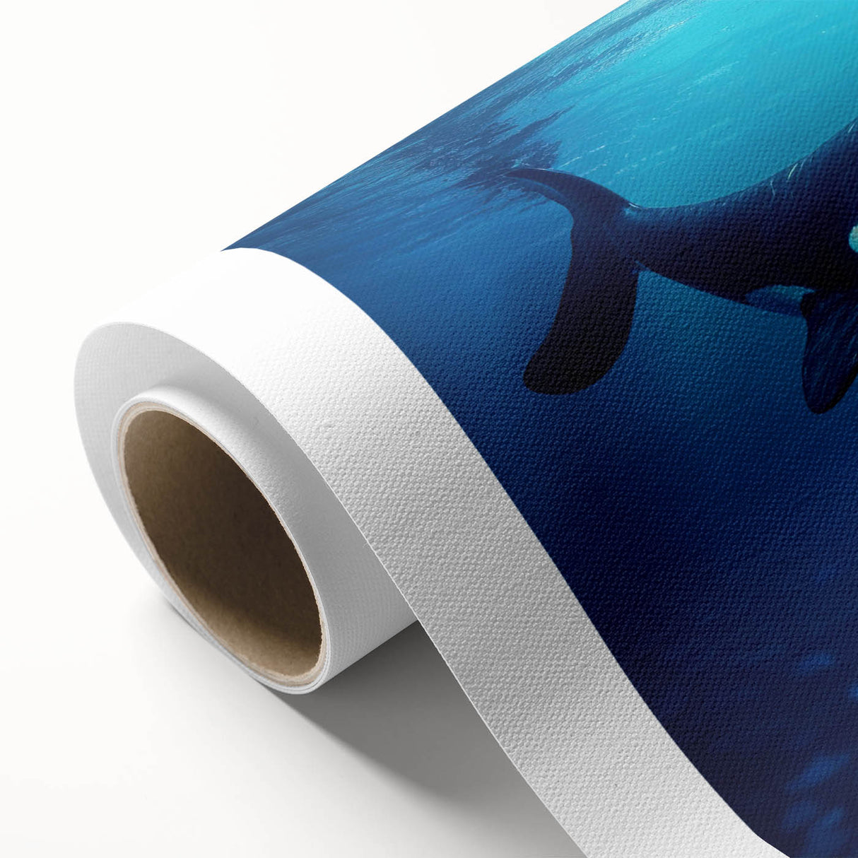 Orca-themed rolled canvas wall art showcasing a vibrant marine life design, featuring striking colors and intricate details, perfect for coastal or nautical decor.