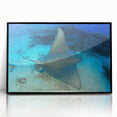 Framed wall art featuring a vibrant marine life design with a stingray, showcasing detailed colors and textures, perfect for ocean-themed decor.