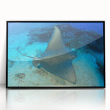 Framed wall art featuring a vibrant marine life design with a stingray, showcasing detailed colors and textures, perfect for ocean-themed decor.