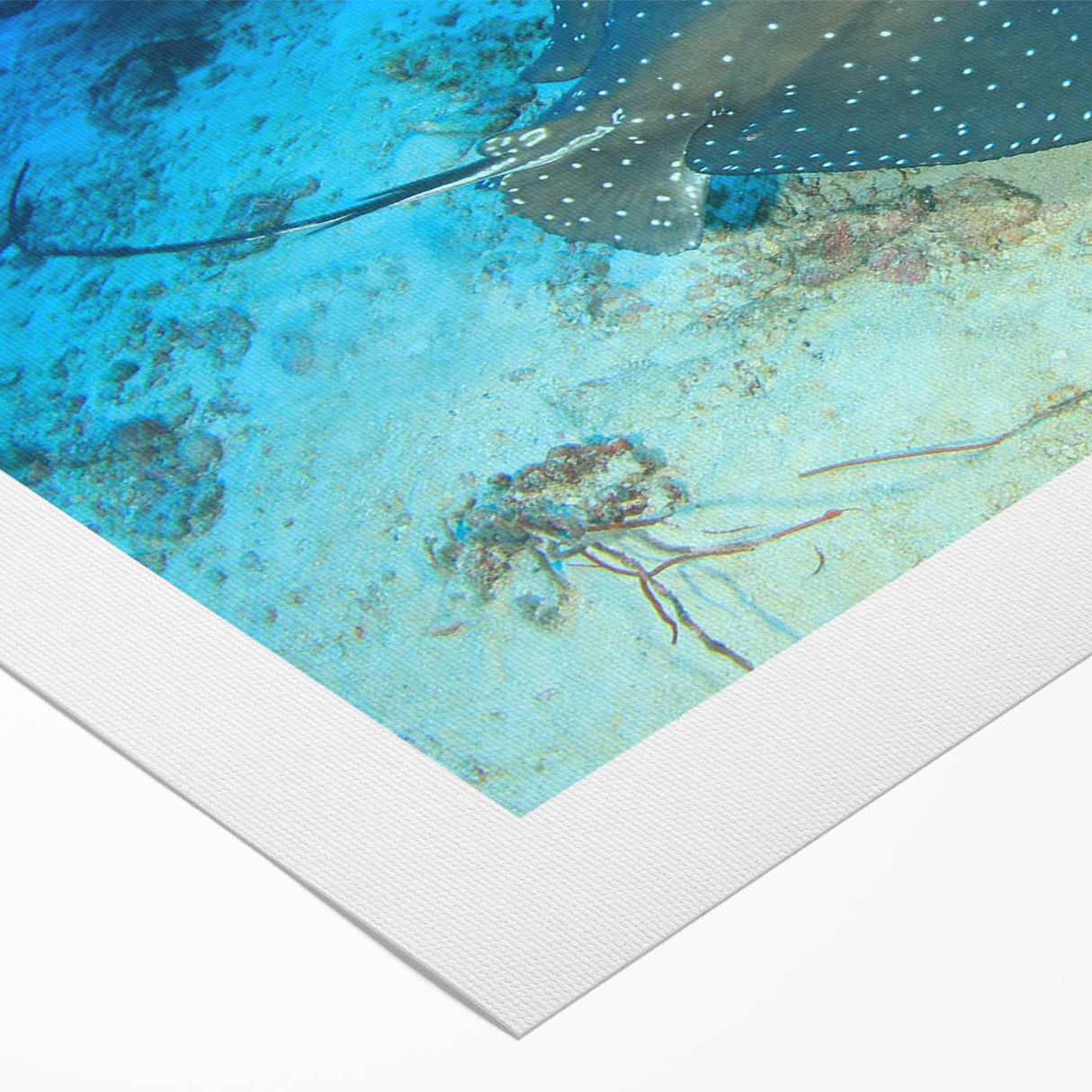 Colorful rolled canvas depicting a vibrant marine life ray design, showcasing intricate details and textures, perfect for ocean-themed home decor or art collectors.