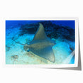 Vibrant marine life wall art print showcasing a colorful ray design, perfect for ocean-themed decor, rolled and securely packaged for easy display.
