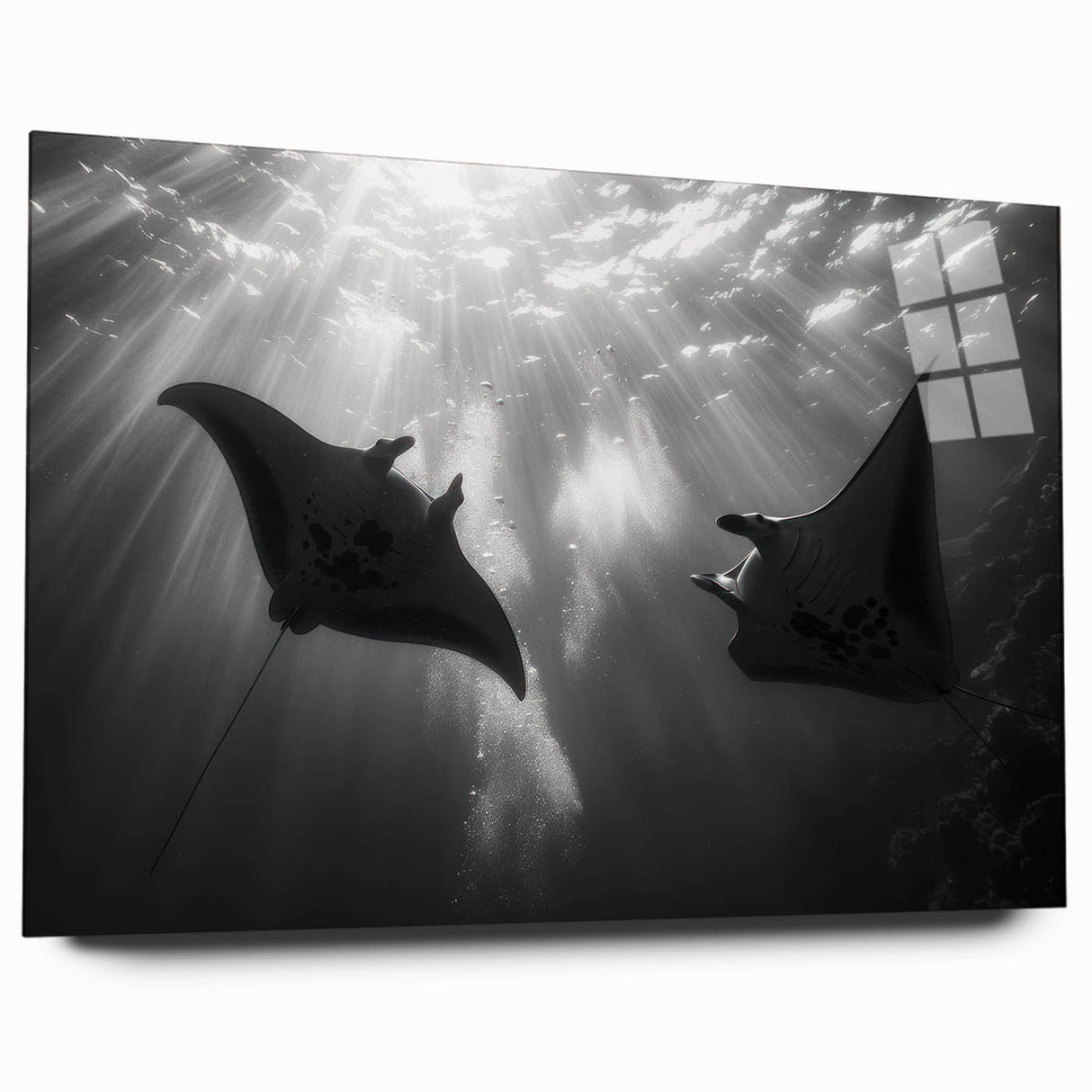 Acrylic wall art featuring a vibrant marine life design showcasing a colorful ray, displayed in a side view without pins, perfect for ocean-themed decor.