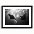 Black-framed wall art featuring a vibrant marine life ray design, showcasing intricate details and colors, perfect for ocean-themed decor and modern interiors.