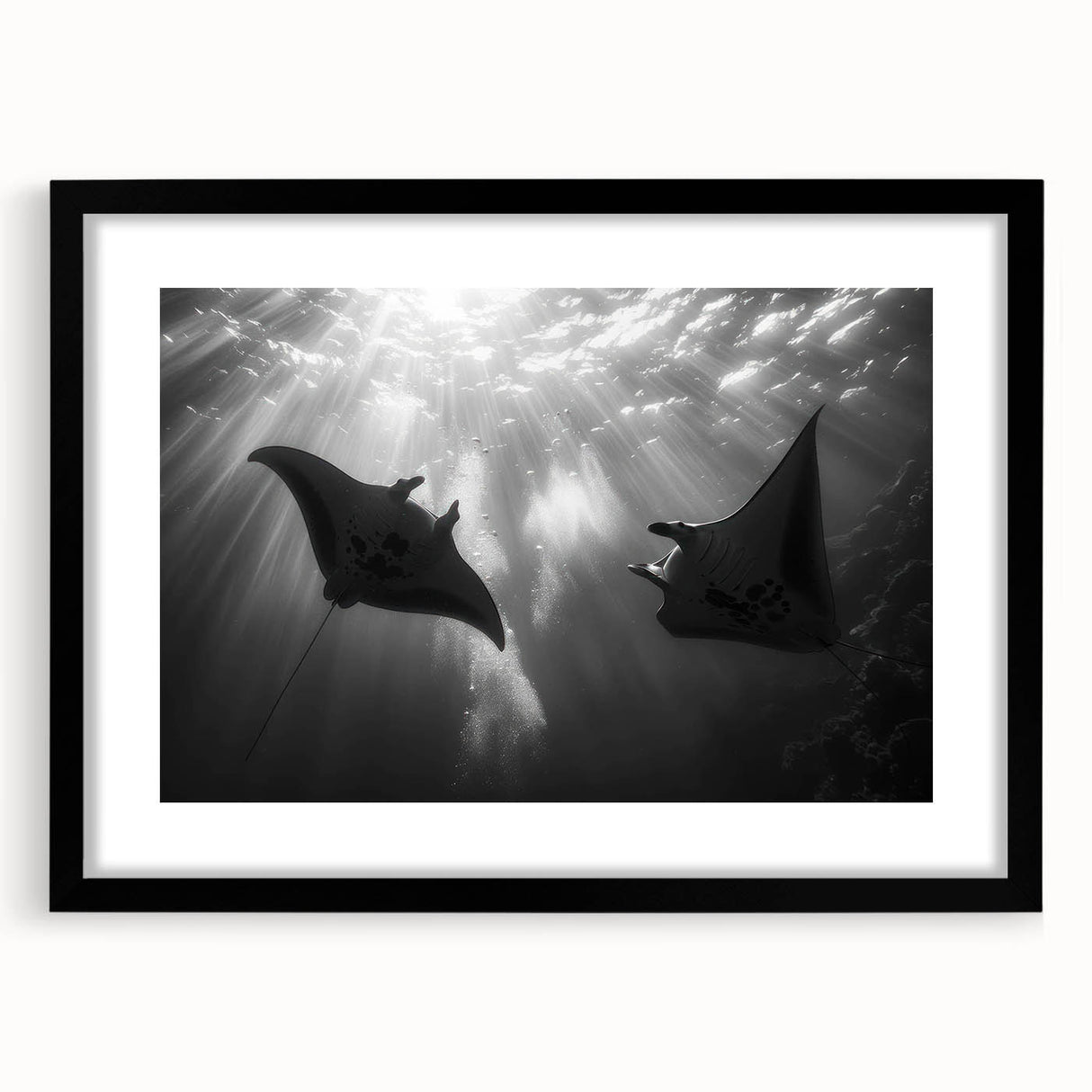 Black-framed wall art featuring a vibrant marine life ray design, showcasing intricate details and colors, perfect for ocean-themed decor and modern interiors.
