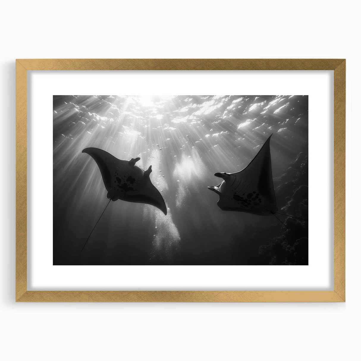 Elegant wall art featuring a marine life ray design, framed in gold with a mat, showcasing vibrant colors and intricate details for a sophisticated coastal decor accent.