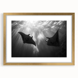 Elegant wall art featuring a marine life ray design, framed in gold with a mat, showcasing vibrant colors and intricate details for a sophisticated coastal decor accent.