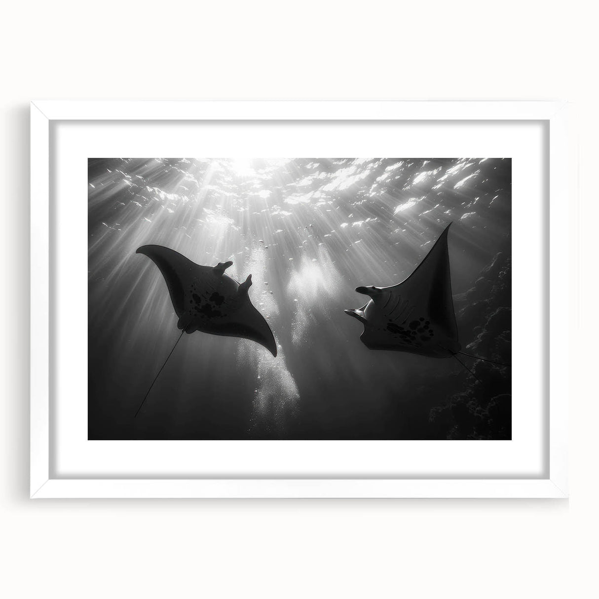 Framed wall art showcasing a vibrant marine life ray design in a white mat, perfect for home decor, emphasizing ocean themes and aquatic colors.