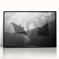 Framed acrylic wall art featuring a marine life ray design, showcasing vibrant colors and intricate details, perfect for ocean-themed decor.