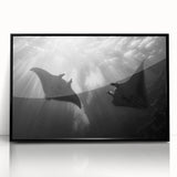 Framed acrylic wall art featuring a marine life ray design, showcasing vibrant colors and intricate details, perfect for ocean-themed decor.