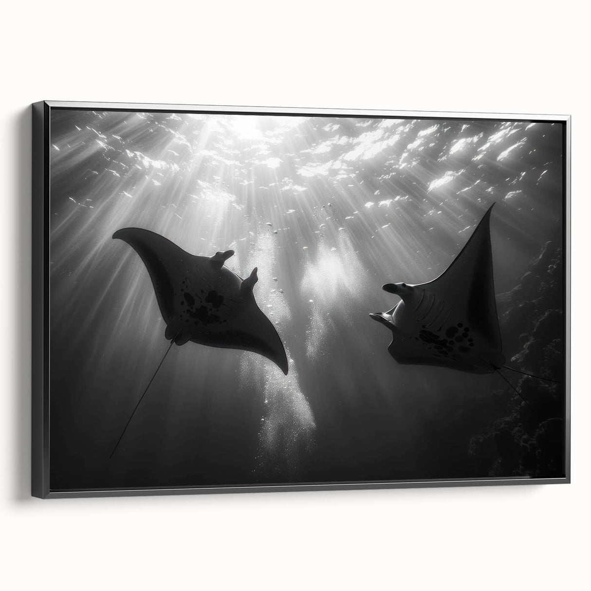 Framed canvas wall art showcasing a vibrant marine life ray design in a modern black frame, highlighting the intricate details and colors of oceanic creatures.