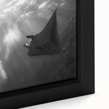 Framed canvas artwork showcasing a vibrant marine life design featuring colorful rays swimming through coral, ideal for ocean-themed decor.