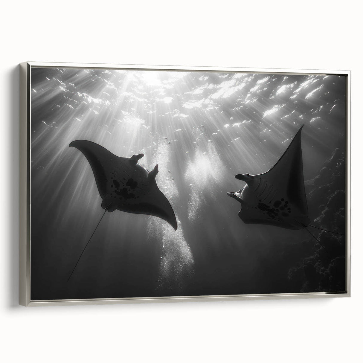 Framed canvas wall art depicting a vibrant marine life ray design, featuring shades of blue and silver, ideal for ocean-themed decor. Perfect for adding a coastal touch to any room.