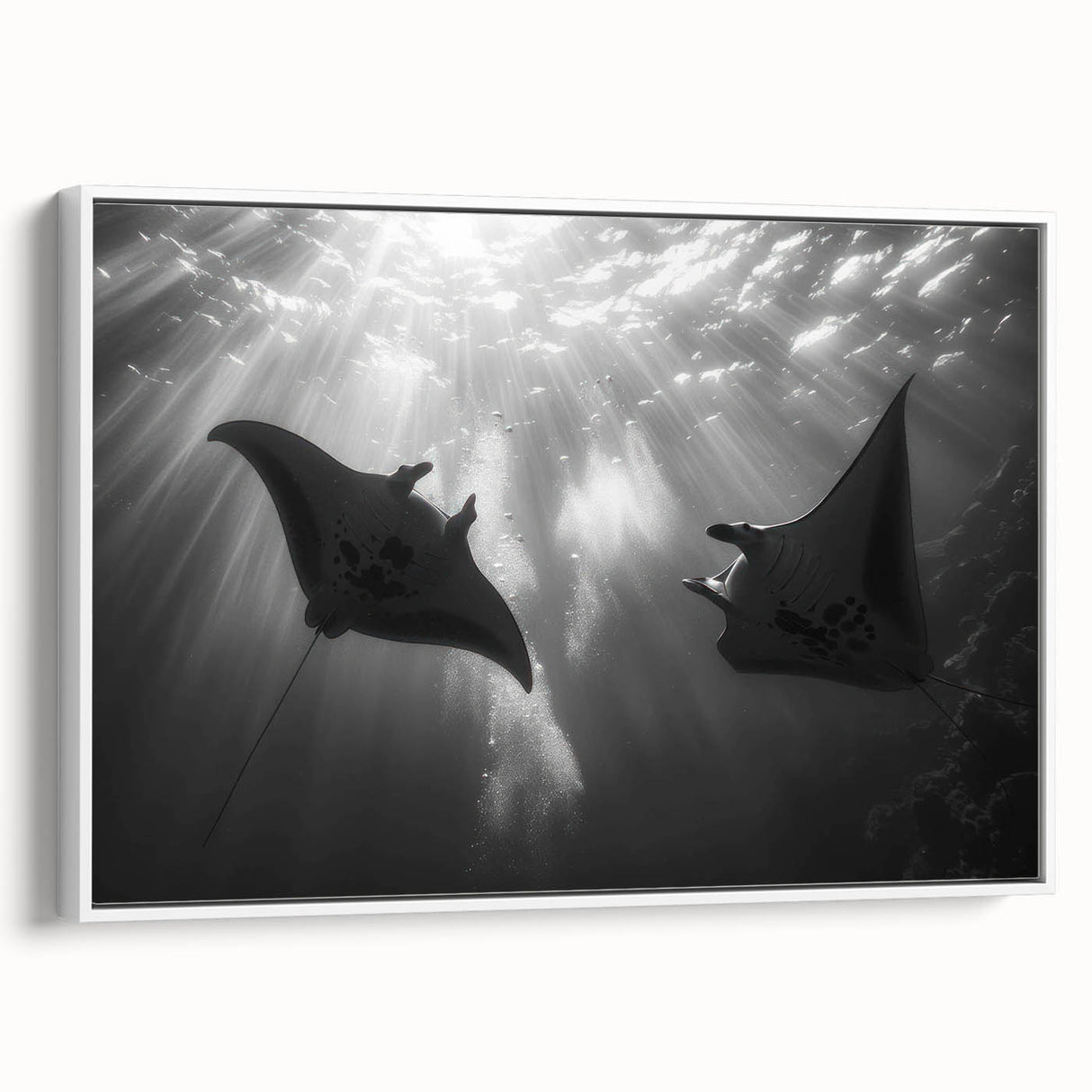 Framed canvas wall art showcasing a marine life ray design, featuring vibrant colors and intricate details, displayed from a side view with a white frame.