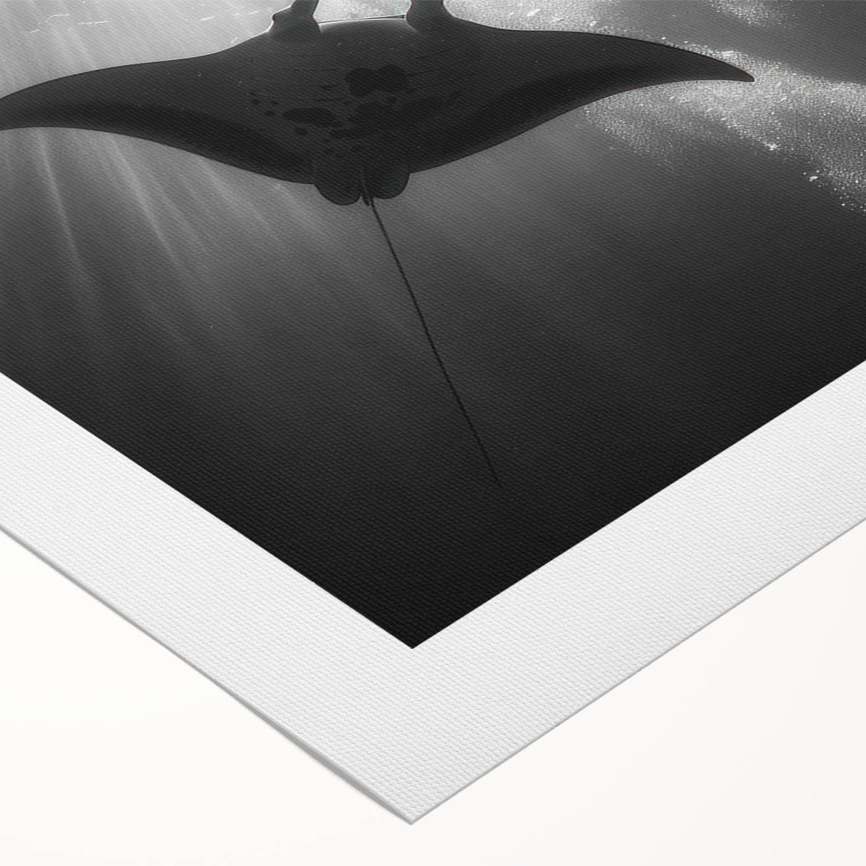 Vibrant rolled canvas art depicting a colorful marine life scene featuring a majestic manta ray swimming among coral reefs, ideal for ocean-themed decor.