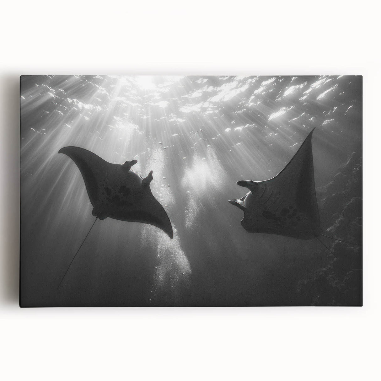 Stretched canvas wall art featuring a vibrant marine life ray design, showcasing rich colors and intricate details, perfect for ocean-themed decor.