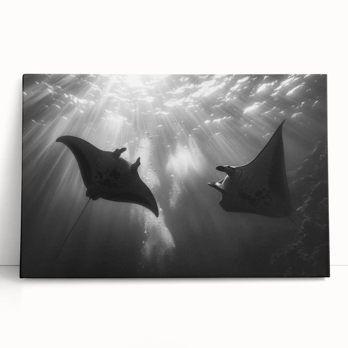 Stretched canvas wall art featuring vibrant marine life ray design, showcasing detailed textures and colors, perfect for ocean-themed home decor.