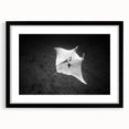 Framed wall art featuring a marine life ray design in a sleek black frame, showcasing intricate details and vibrant colors, perfect for ocean-themed decor.