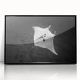 Framed acrylic wall art showcasing a vibrant marine life ray design, featuring a sleek black frame, perfect for enhancing ocean-themed decor in modern interiors.